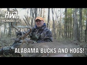 Alabama Deer and Hog Hunting At It's Finest! 6.12