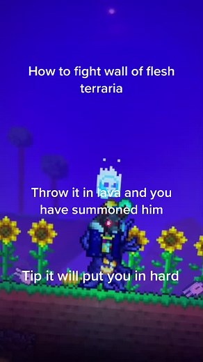 Terraria Tips: How to Beat Wall of Flesh with Infinite Water Glitch
