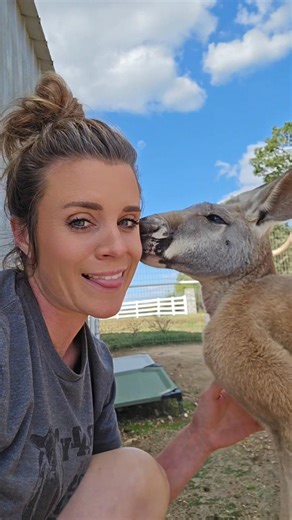 Don't mind me I'm just making out with my Roo. 😉🥰 | Action Farms Maine Coons