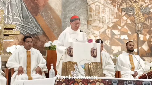 While in the middle of delivering his homily, Cardinal Luis Antonio Tagle was briefly interrupted by the sudden barking of dogs - but with a gentle smile and a warm "Grazie," he turned the moment into one of grace and humor. | via Jackie de Vega | ABS-CBN News