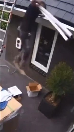 Incredible Reflexes Caught on Camera