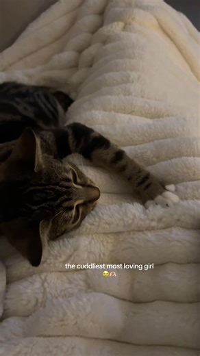 Lumi 🎀🩷 (@tinylumitales)’s videos with Nothing's Gonna Hurt You Baby - Cigarettes After Sex