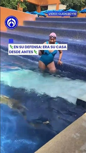 La inesperada ruta de esta iguana conquistó las redes