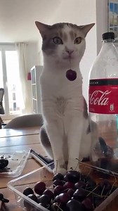 New questions await you here on the ask bit.ly/--ASKfm-- | ASKfm