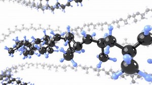 Plastic Polymer Molecular Structure 3d Animation Stock Footage Video (100% Royalty-free) 3472824595 | Shutterstock