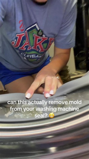 Remove Mold from Washing Machine Seal — Easy Steps
