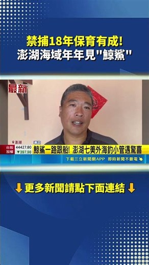 18 Years of Fishing Ban Leads to Conservation Success! Whale Sharks Spotted in Penghu Waters Ever...