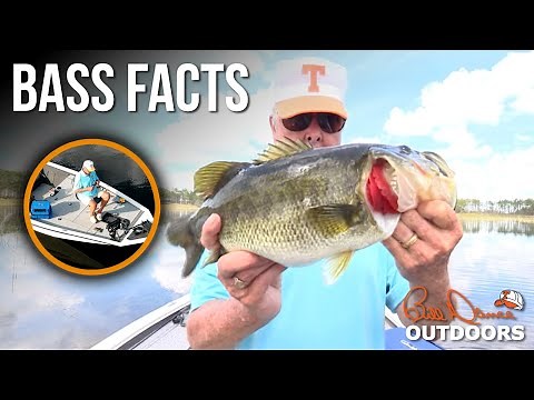 Bass Facts | Bill Dance Outdoors