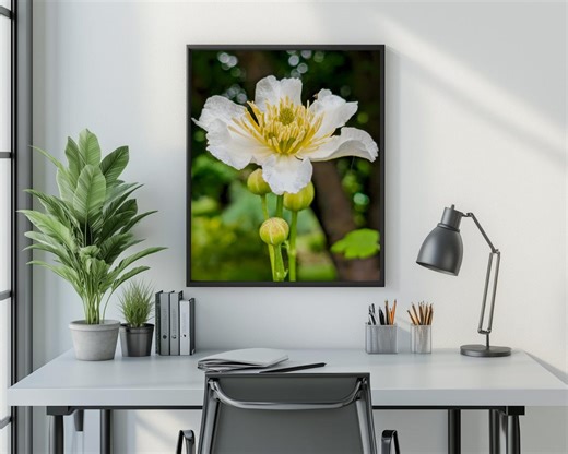 Botanical Scandinavian Flower Art, Printable White Garden Blossom Close-up, Fresh Minimalist Decor, Cottagecore Plant Theme Digital 121 - Etsy