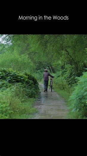 A Morning In The Woods | Frog Films | Sukoon By Arijit Singh #viral #shorts