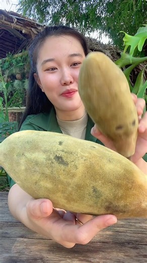 Khám Phá Trái Bao Báp Khô Tại Cát Lái