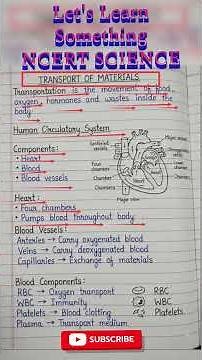 Transport Of Materials|NCERT SCIENCE|@IP ACADEMY @UNACADEMY