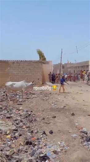 mpemba_og2 on Instagram: "@ludra_maja 🤣🤣🤣🤣🤣🤣🤣🤣🤣🤣"