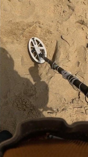 I Almost Missed This Hidden Treasure with My Metal Detector