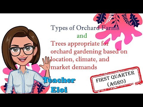 Types of Orchard Farms and Trees Appropriate for Orchard Gardening
