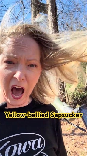 ‪@kapture-gear‬ ‪@kowasportingoptics‬ Out Digiscoping today and found a yellow-belled sapsucker