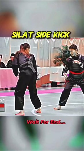 Silat side kick tutorials #ytshorts #youtubeshorts #karate side kick #youtubeshorts #ytshorts #arm