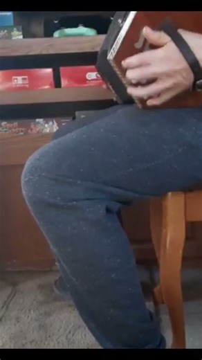 Professor Sycamore's Theme on 20 Button Anglo Concertina