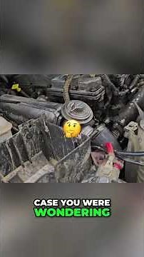 EGR Delete: Does it Actually Make a Difference? #shorts