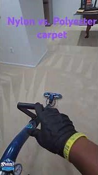 Nylon Vs. Polyester Carpet