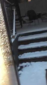 This is how I pee during a snow storm. Watch til the end!