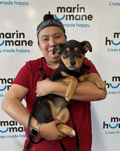 Happy Monday! Check out some of last week's awesome adoptions! We were extra thrilled to send a few of our recent arrivals from Clearlake Animal Association off to their forever homes so quickly. Congratulations, adopters! 🥰 | Marin Humane