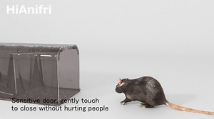 Watch How mouse trap work on Amazon Live