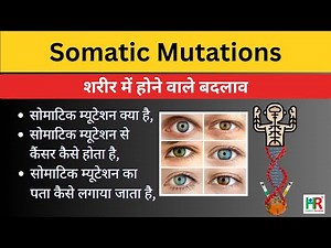Somatic mutations, what is somatic mutation, how somatic mutation causes cancer,