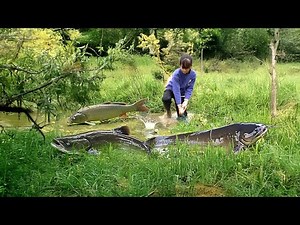 Little Girl Fishing Skills | Fishing Video - Puddle Of Mudd After Rain Full of Big Fish Hiding