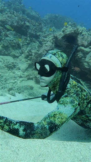 Three Fish in One Dive! | Ryan Myers Spearfishing