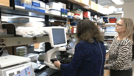 MUSC predicts 20% rise in Cancer cases by 2028