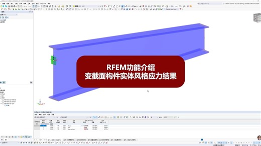 RFEM功能介绍 变截面构件实体风格结果