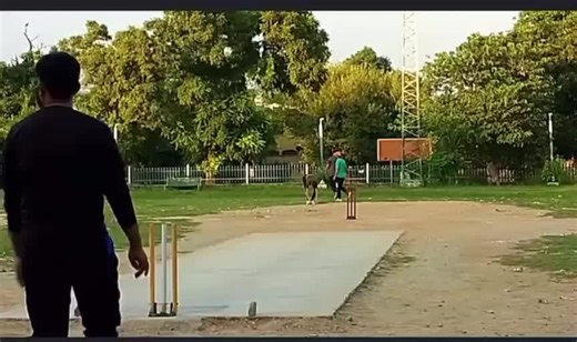 Exciting Cricket Highlights That Keep You Guessing