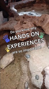 Our Touch Pool is a great place for some hands-on learning! 🌊 Hands-on learning is a vital component of education, offering unique benefits that enhance understanding and engagement. At the Bermuda Aquarium Museum and Zoo's (BAMZ) touch pool, visitors get up close and personal with marine life like starfish and sea cucumbers, experiencing these wonders firsthand. Here’s why hands-on learning is so important: 1. Engages Multiple Senses: Touching and interacting with marine creatures engages sens