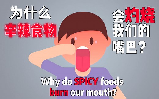 为什么你怕辣？为什么你不敢吃辣？辣觉真正存在吗？（中英字幕）