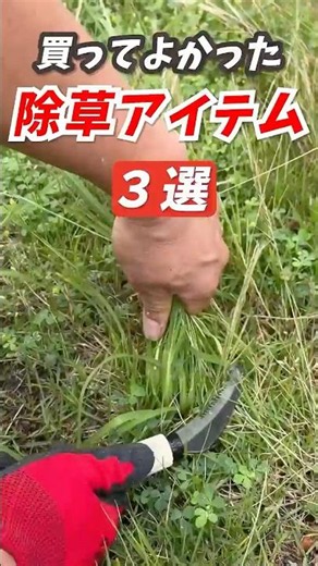 Still Pulling Weeds by Hand? 3 DIY Gardening Tools to Make Weeding Easier #shorts