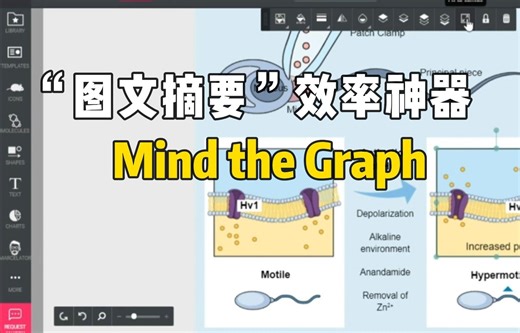 SCI接收了！手把手带你画图文摘要，一键解锁科研绘图技能！