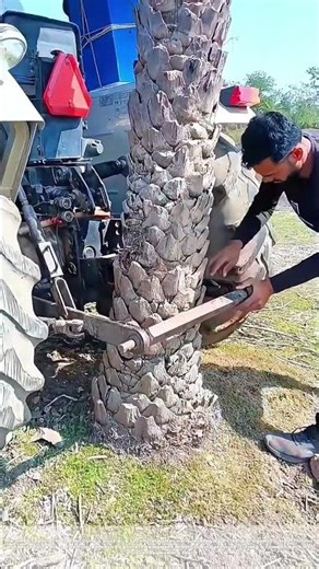 Prying with a Brick: Why This Farm Hack Outsmarts Raw Force