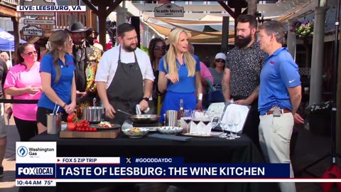 Taste of Leesburg 6/20