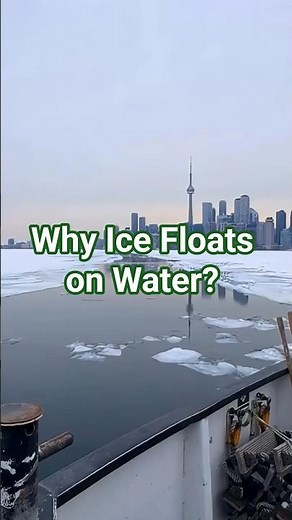 Why Ice Floats on Water? Simple Experiment! #educationexperts