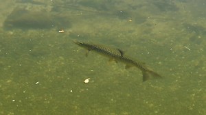 15K views · 36 reactions | So 3 years ago we started production on...