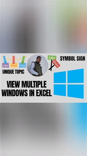 # VIEW MULTIPLE WINDOWS IN EXCEL