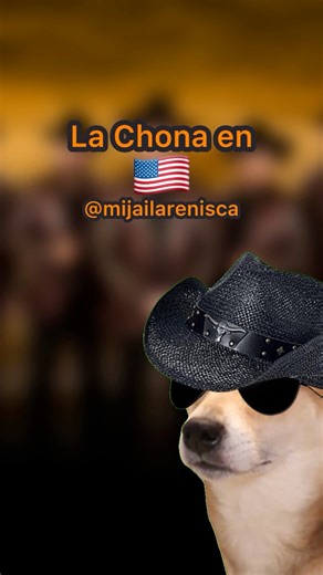 En 1995, Los Tucanes de Tijuana lanzaron “La Chona”, una de las canciones más emblemáticas de la música norteña mexicana. el tema apareció en el álbum Me robaste el corazón y rápidamente se convirtió en un fenómeno cultural. Su letra cuenta la historia de una mujer que no deja de bailar en las fiestas, retratando con humor y ritmo la alegría popular Con su estilo norteño y su energía contagiosa, “La Chona” trascendió generaciones y se consolidó como un himno de fiestas y celebraciones en México 