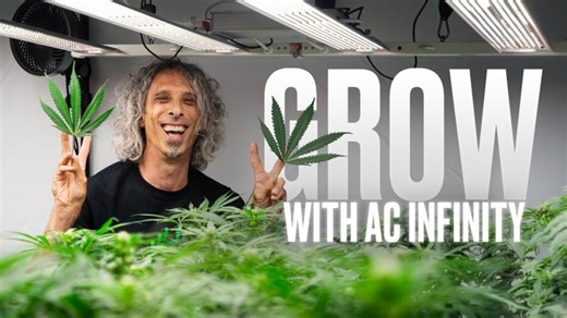AC Infinity Smart Grow Automation: AI Controller and Wireless Dongles | Homegrown Cannabis Co. posted on the topic | LinkedIn