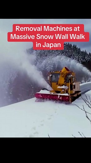 EPIC Snow Blower Removal Machines at Massive Snow Wall Walk in Japan #snowplowing #snowwork #plowing #snow #snowremoval #snowsports #wintersports #snowboarding #snowtrain #plowingtrain #snowplow #pumtrack