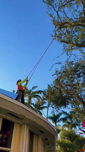 CARLOS GEOVANI on TikTok