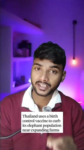 Thailand birth control vaccine on elephants| #shorts #animals #elephant #thailand #viral #usa
