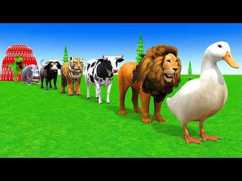 Funny 3D Animal Slide Game | Cow, Elephant, Gorilla, Hippo & Tiger Gameplay 😂