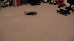 Remote control Scorpion