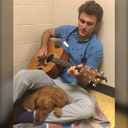 5.1M views · 5.9K reactions | Ruby the dog was scared before surgery, until her veterinarian sang to her | In The Know | Facebook